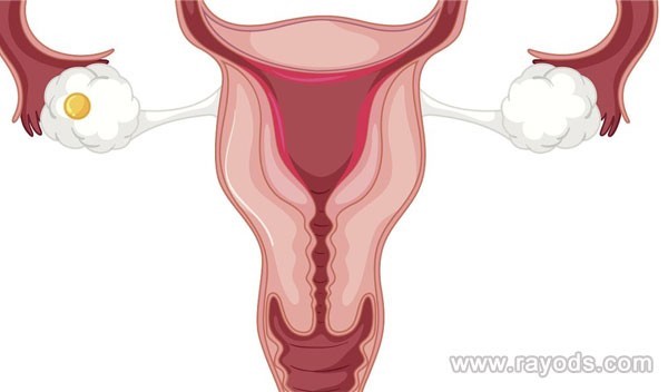 怀孕期间不可以吃毛豆吗？孕妇吃了毛豆对胎儿有影响吗？